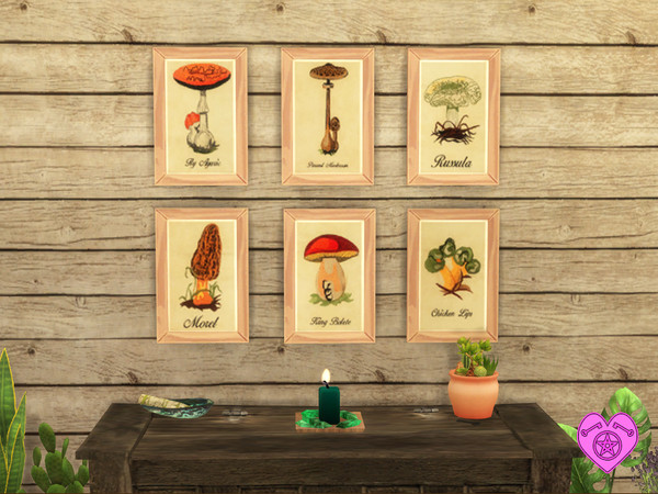 Sims 4 — Vintage Mushroom Wall Art 1 by Simder_Talia — A set of 12 different mushrooms in a brown wooden frame. 6