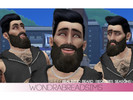 Sims 4 — Sage Beard (Requires Seasons) by jubilicious2 — This beard is a recolor of the Father Winter beard that came