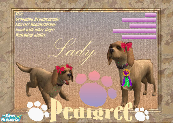 Sims 2 — LADY- Cocker Spaniel by Ajoya — Registered/(AKC, NKC, etc.), Current vaccinations, Veterinarian examination,