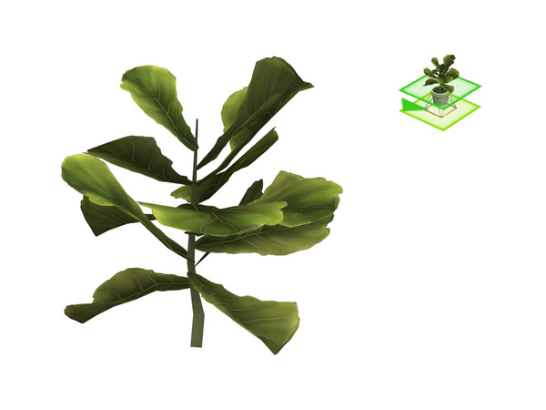 Sims 4 — Atlas Mini Fig by sim_man123 — A small fig tree sapling.