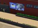 Sims 4 — Miraculous Ladybug - Adrien Billboards (Cats and Dogs Mesh!) by theclevernugget — | Resized for a closer look! |