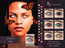 Sims 4 — Sage Eyes N2 by revolution-sims2 — Standalone Custom thumbnail Face Paint category All ages and genders 36