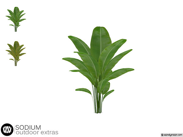 Sims 4 — Sodium Outdoor Plant I by wondymoon — - Sodium Outdoor Extras - Outdoor Plant I - Wondymoon|TSR - Creations'2020