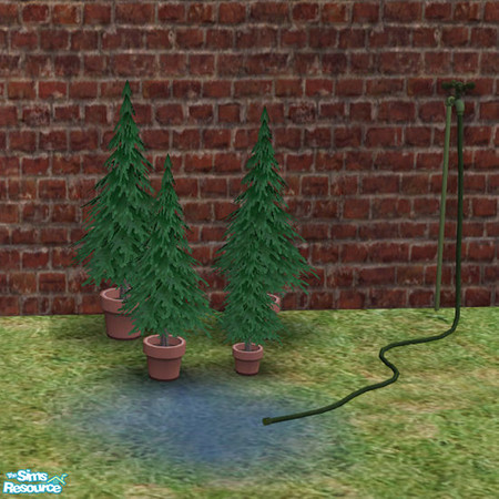 Sims 2 — Shed Hose Green Copper - #416703 by DOT — Shed Hose Green Copper. Potting Shed. Sims2 by DOT of The Sims