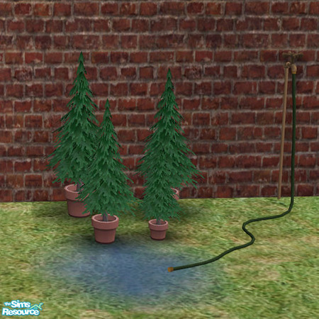 Sims 2 — Shed Hose MESH by DOT — Shed Hose MESH. Potting Shed. Sims2 by DOT of The Sims Resource.