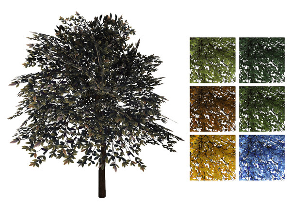 Sims 4 — Alexander Ficus Tree by sim_man123 — A large ficus tree, as part of my Alexander Living Room set. Made by