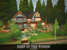 Sims 4 — Deep In The Woods by Gwynnbleidd — A cozy house deep in the woods for a family with 2 children. Includes: