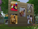 Sims 4 — The Well Traveled Diner-REQUIRES DINE OUT by fordfocus09 — Ever wonder why a restaurant has pictures of food on