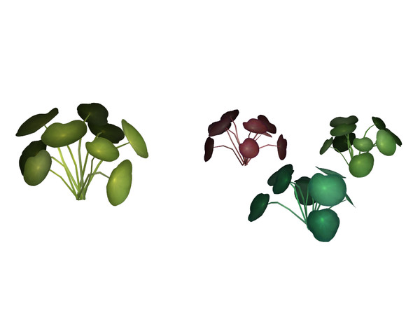 Sims 4 — Chinese Money Plant by sim_man123 — A small, little Chinese Money Plant. Includes four color options.