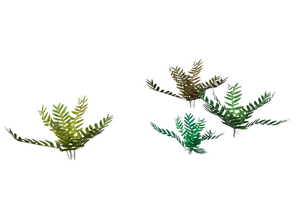 Sims 4 — Small Fern by sim_man123 — A small classic fern. Includes four color options.