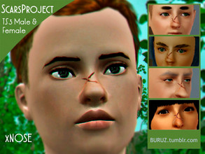 Sims 3 — Scars Project - xNOSE by Buruz — Tumblr: buruz.tumblr.com Scars Project for all genders / all ages. This is the