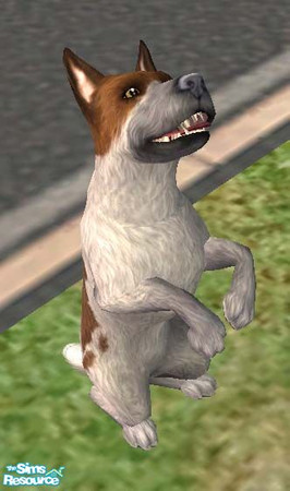 Sims 2 — Dodger ~mutt by Freelance_Wolf — Dodger, the street-wise New York City mutt from the 1998 Disney movie, Oliver
