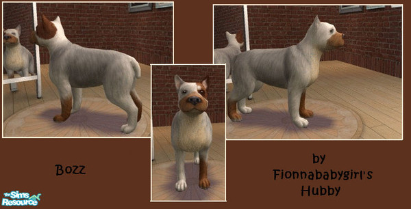 Sims 2 — Bozz by fionnababygirl — Bozz is the brother of China, He has his mothers body shape, including lack of tail,