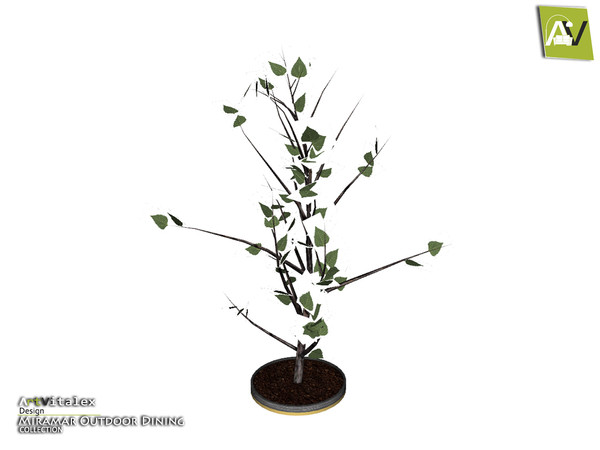 Sims 4 — Miramar Plant by ArtVitalex — - Miramar Plant - ArtVitalex@TSR, Sep 2020