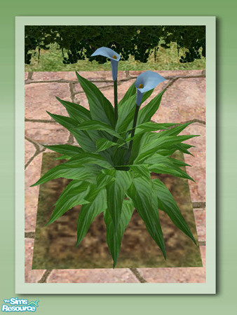 Sims 2 — Garden Rockery - Peace Lily Blue by Shakeshaft — Part of the Garden Rockery Set, build a colourful rockery for