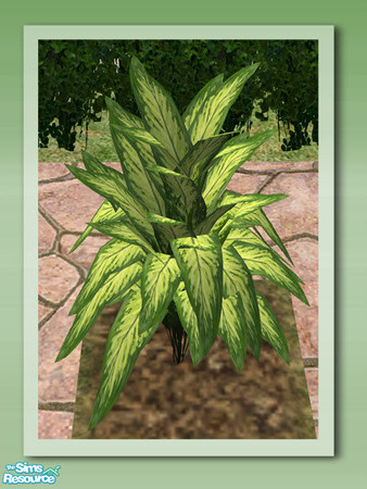 Sims 2 — Garden Rockery - Paradise Leaf by Shakeshaft — Part of the Garden Rockery Set, build a colourful rockery for