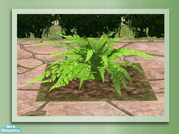 Sims 2 — Garden Rockery - Fern Recolour by Shakeshaft — Part of the Garden Rockery Set, build a colourful rockery for