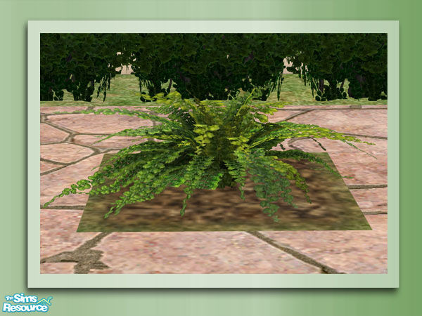 Sims 2 — Garden Rockery - Fern by Shakeshaft — Part of the Garden Rockery Set, build a colourful rockery for your sims