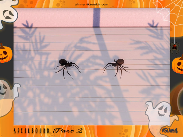Sims 4 — Spellbound Spider pet by Winner9 — Spider pet from my Halloween set Spellbound, you can find it easy in your