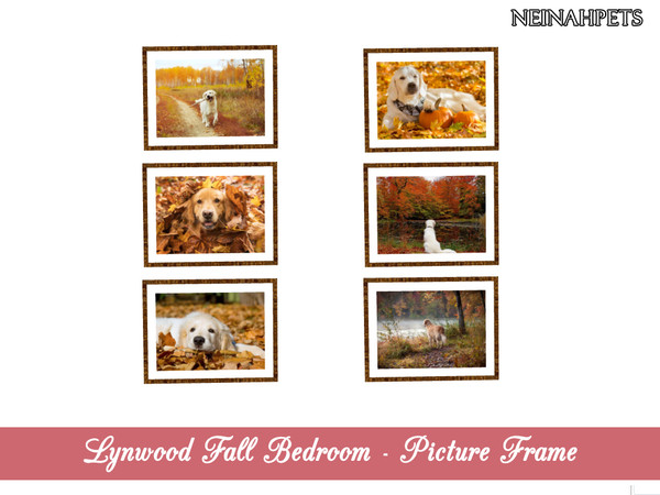 Sims 4 — Lynwood Fall Decor - Photo Frame {Mesh Required} by neinahpets — A collection of Gold Retriever photographs in