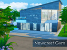 Sims 4 — Newcrest Gym by tellaris — This is a sporting area including: downstairs - a basketball court, a dance hall, a