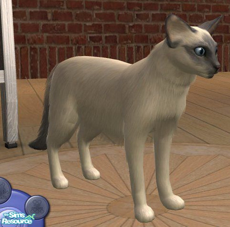 Sims 2 — Balinese by Songe — A more realistic balinese