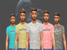 Sims 4 — Stone Island T Shirt by Loxian — Custom Stone Island T Shirt, multiple colourways.