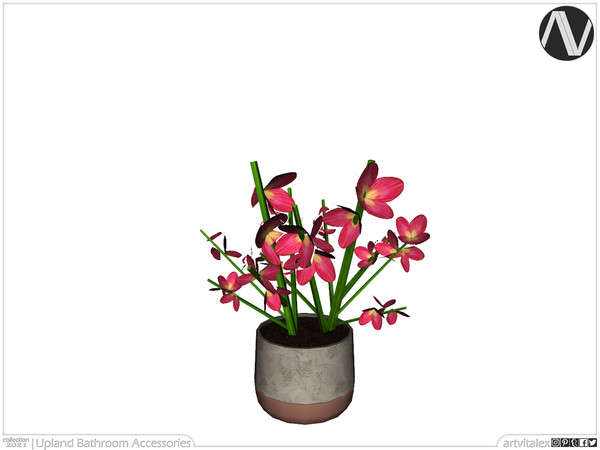 Sims 4 — Upland Plant by ArtVitalex — Bathroom Collection | All rights reserved | Belong to 2021 ArtVitalex@TSR - Custom