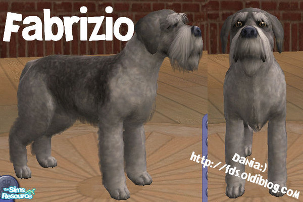 Sims 2 — Fabrizio by Dania:) — Terrier