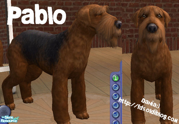 Sims 2 — Pablo by Dania:) — 