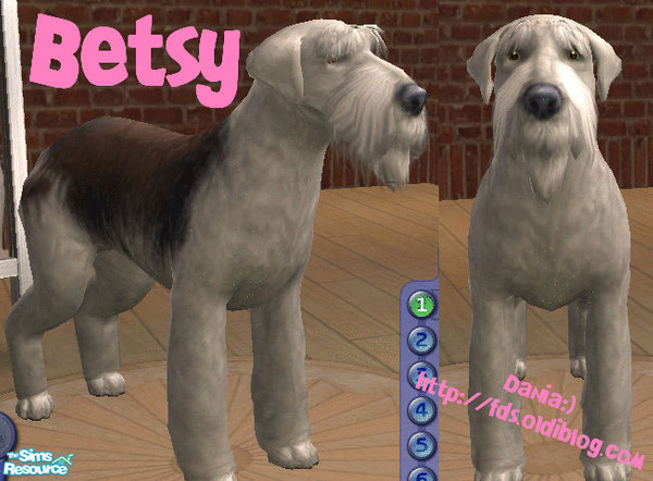 Sims 2 — Betsy by Dania:) — 
