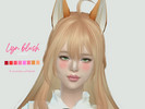 Sims 4 — N2 Lyn Blush by scevola-sz — - Blush : Lyn blush (inspiration, Lyn's blush on BNS) - Female Male,Teen To Elder