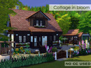 Sims 4 — Cottage in bloom by RoxxyPLPL — Ideal , small house with flowers all around will make your sims feel better if