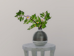 Sims 4 — Modern Interiors Botanical Cosmos by seimar8 — Botanical cosmos flowering plant. Part of Modern Interiors set