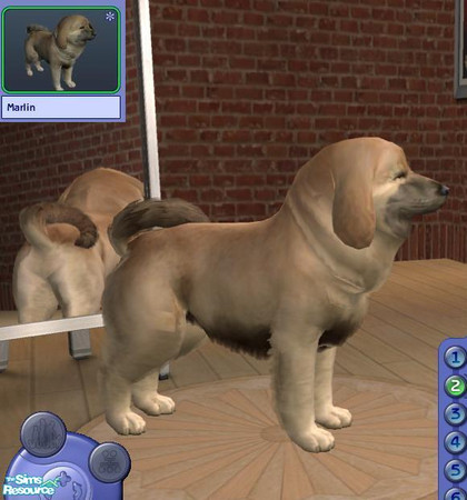 Sims 2 — Marlin by teufelsmienchen — 