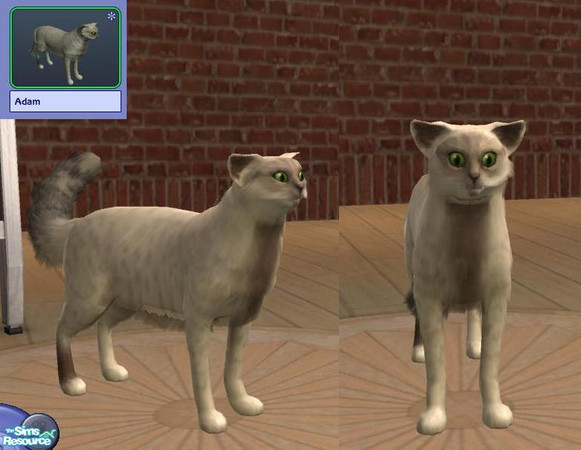 Sims 2 — Adam by teufelsmienchen — 