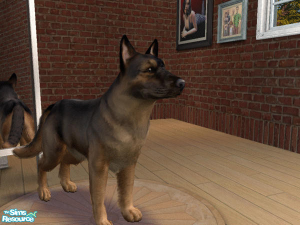 Sims 2 — German Shepherd by LinLark — A variation on the German Shepherd Dog...great for keeping burgulars at bay