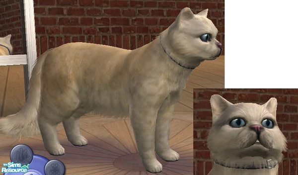 Sims 2 — Kenny by sim-sam2000 — Kenny would be a great new addition to any Sims house hold. He's friendly, cute and just