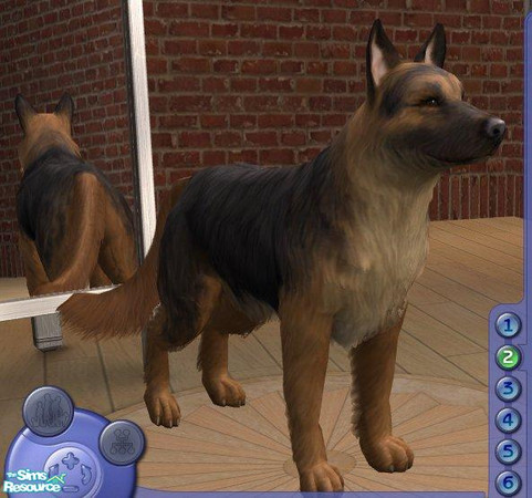 Sims 2 — German Shepherd Dog by Songe — A more realistic German Shepherd Dog
