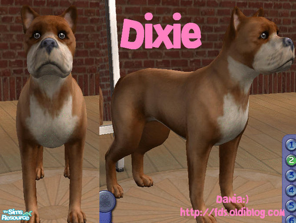 Sims 2 — Dixie by Dania:) — No description