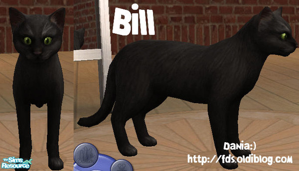 Sims 2 — Bill by Dania:) — No description
