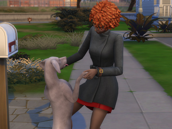 Sims 4 — Pet Immortality Trait by CrucibleGaming — This mod adds a new trait for pets called "Immortal". It's a