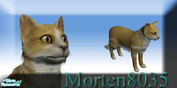 Sims 2 — Yellow cat by morten8035 — .::Yellow cat::.