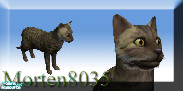 Sims 2 — Tiger cat by morten8035 — .::Tiger cat::.