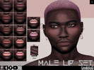 Sims 4 — Male Lip Set _ 1 by lucidoll — Information: - Ages: Toddler, Teen, YA, Adult and Elder - Gender: Male only -