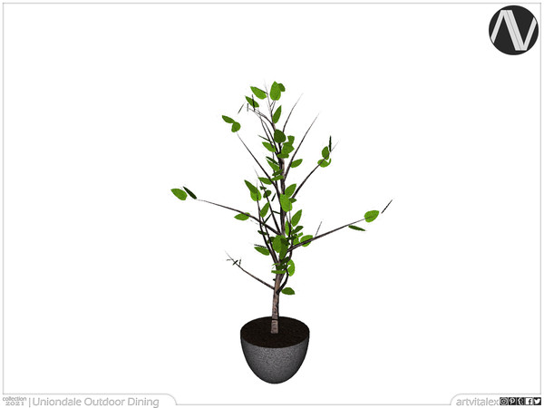 Sims 4 — Uniondale Plant by ArtVitalex — Outdoor And Garden Collection | All rights reserved | Belong to 2021