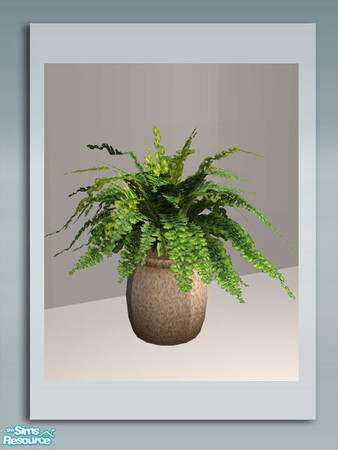 Sims 2 — Isabel Naturals - Fern by Shakeshaft — Part of a new lounge set with 8 new meshes, in natural tones and a modern