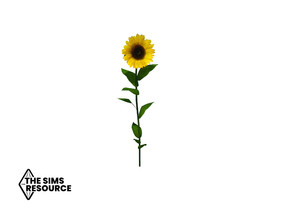 Sims 4 — How Does Your Garden Grow Solo Sunflower by seimar8 — Maxis Match beautiful sunflowers for the garden Base Game