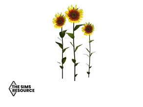Sims 4 — How Does Your Garden Grow Sunflowers by seimar8 — Maxis match beautiful sunflowers for your garden Base game