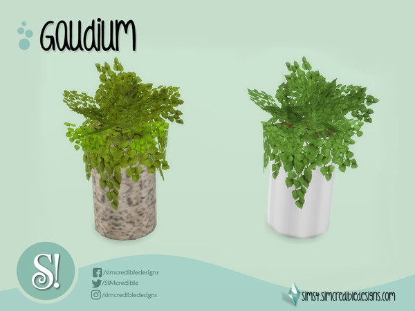 Sims 4 — Gaudium Plant by SIMcredible! — by SIMcredibledesigns.com available at TSR 2 colors variations